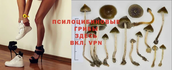 таблы Беломорск